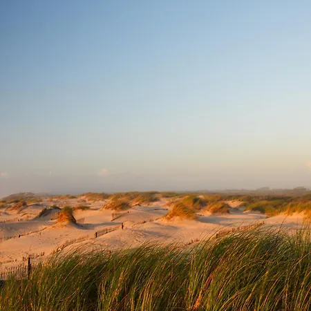 Beachhaus Slide Bed and Breakfast